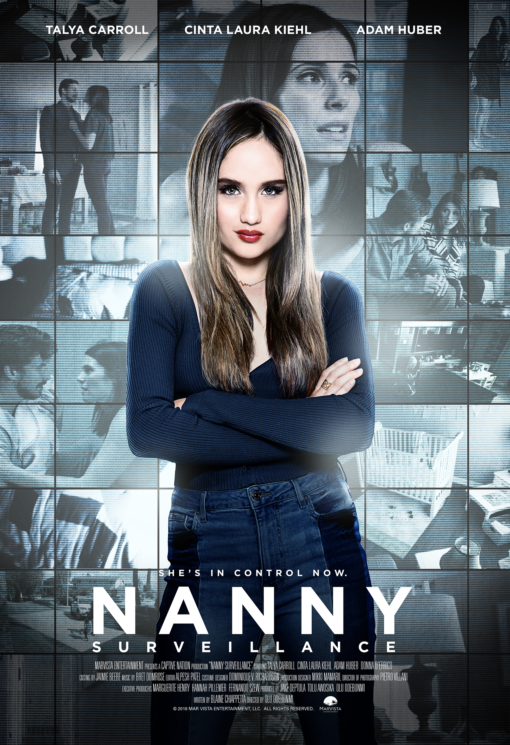 Nanny Surveillance (2018)