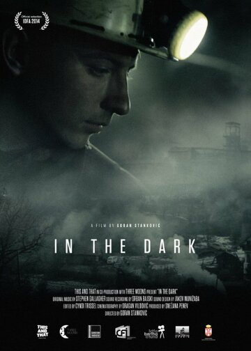 In the Dark (2014)