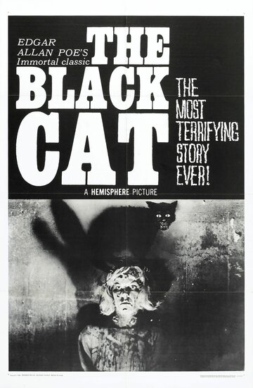 Чёрный кот (1966)