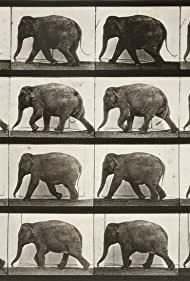 Elephant Walking (1887)