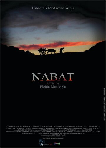 Набат (2014)